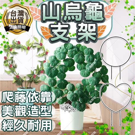 植物爬藤架|爬藤架｜優惠推